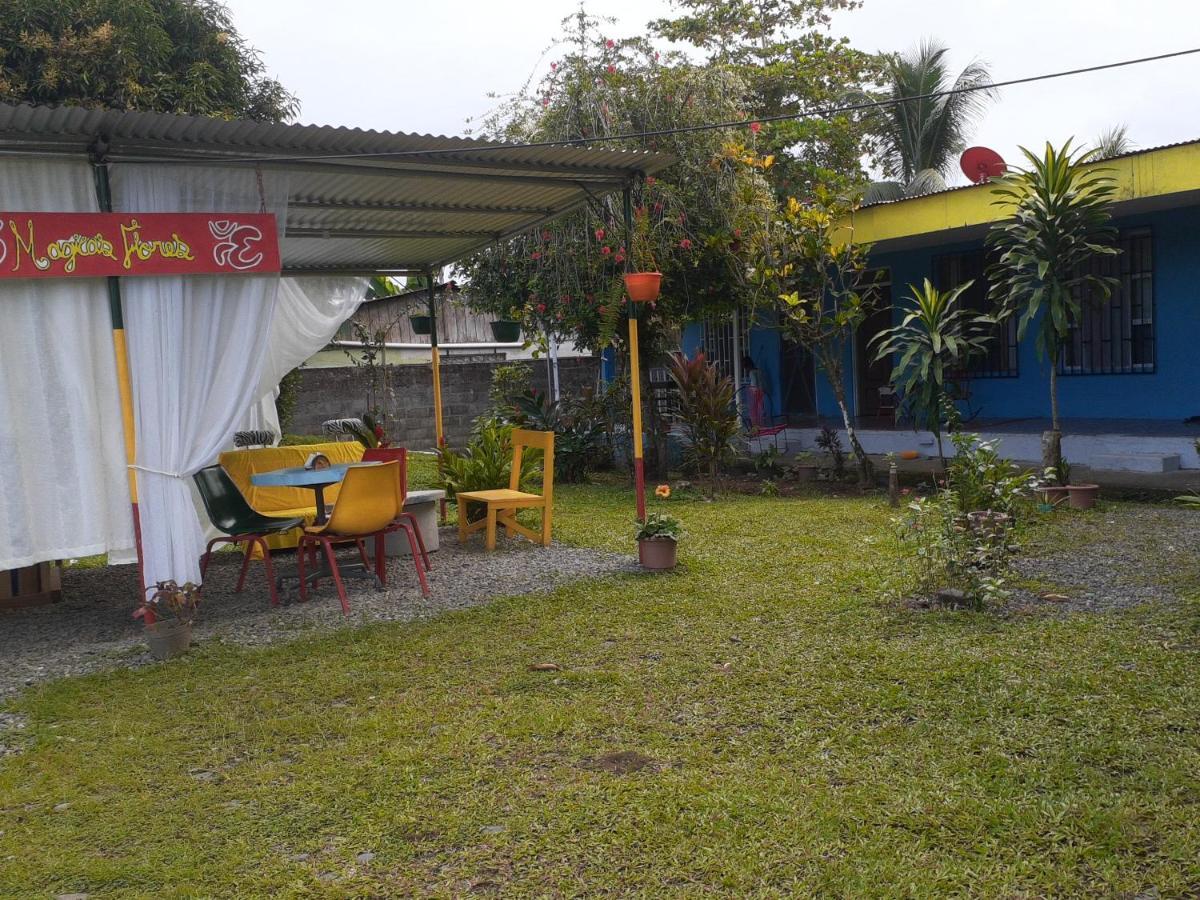 Rooms Palmeras Cahuita Exterior photo